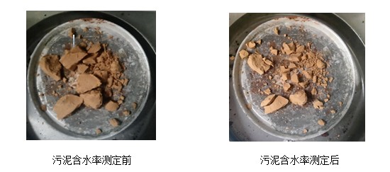 污泥干化減量工程